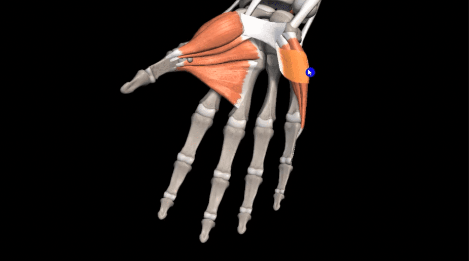 04-2.png